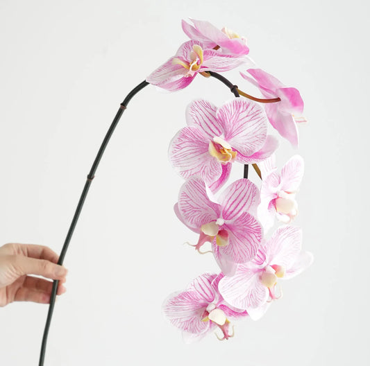 Real Touch Phalaenopsis Orchid Stem Pink