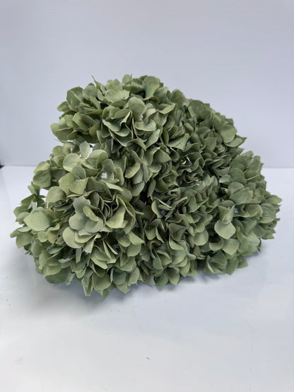 Large 5 Spray Hydrangeas Bush