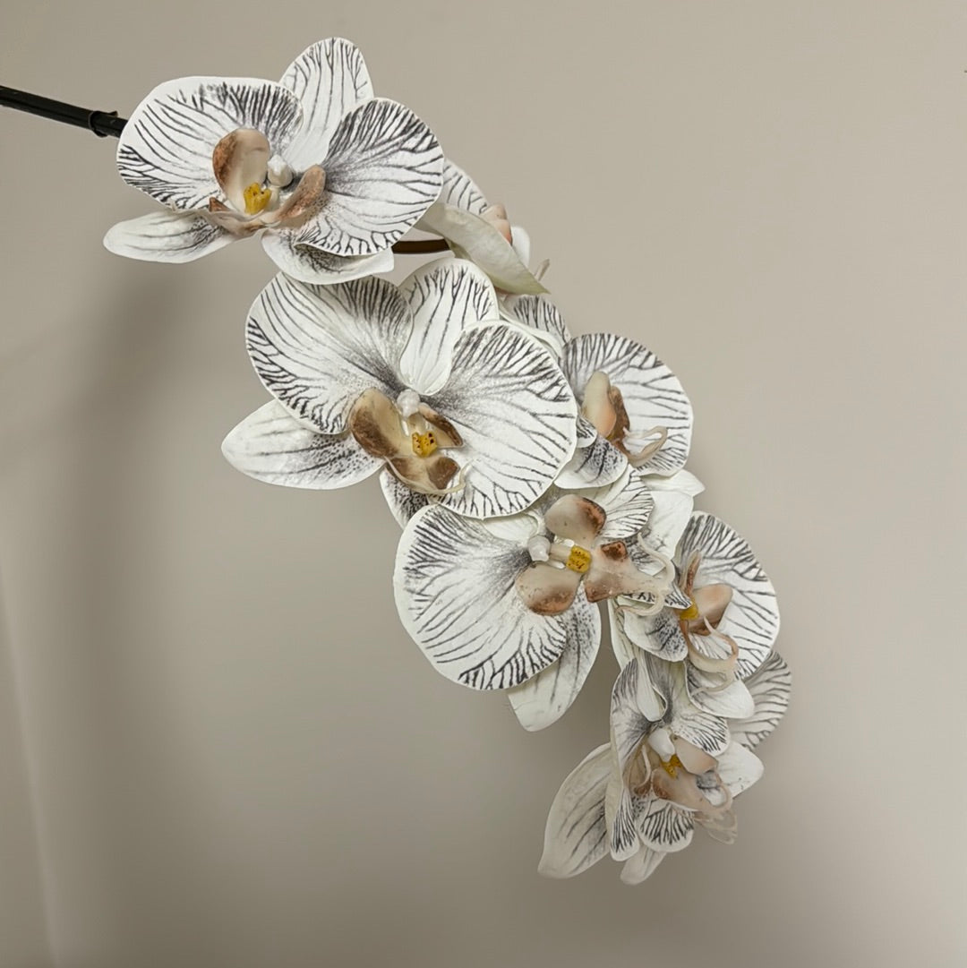 Real Touch Phalaenopsis Orchid Stem White/Black