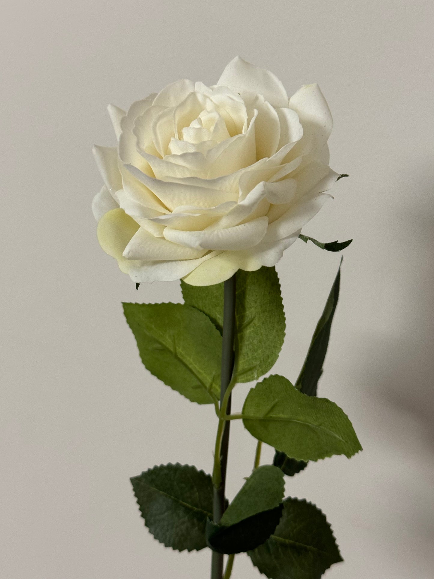 Alice Real Touch Premium Single Stem Rose White