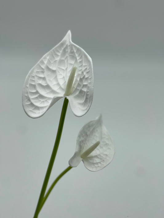 Real Touch Anthurium White Bunch 2pc