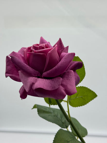 Louis Rose Real Touch Single Stem