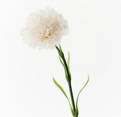 Real Touch Carnation Single Stem Winter White