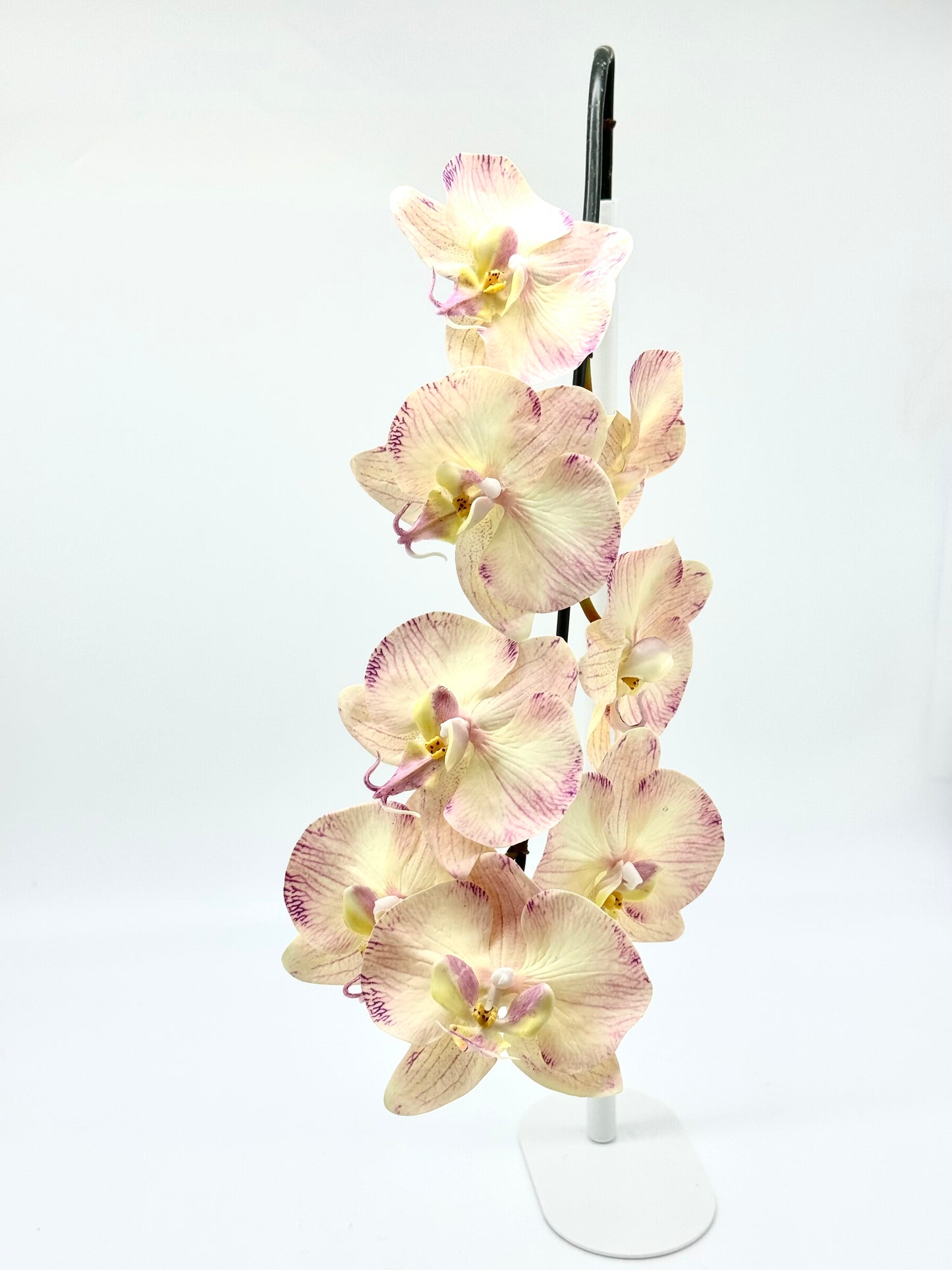 Real Touch Phalaenopsis Orchid Stem Yellow/Pink