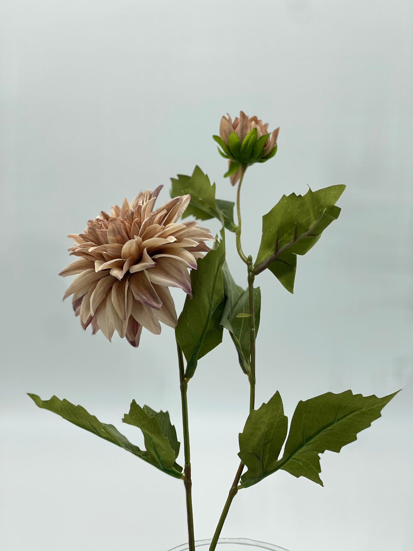 Dahlia 2 Head Spray Fawn