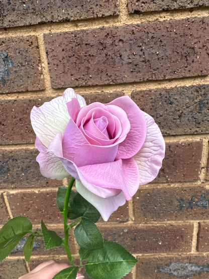Maya Real Touch Bud Rose