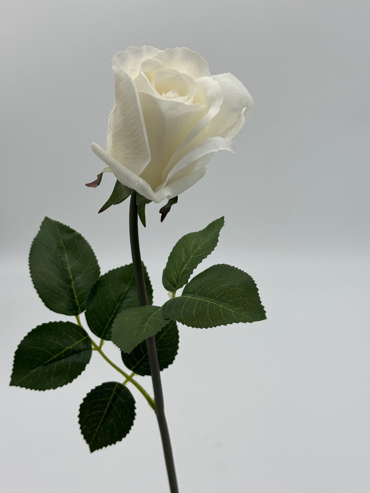 Single Stem Anna Rose Open Bud Real Touch White