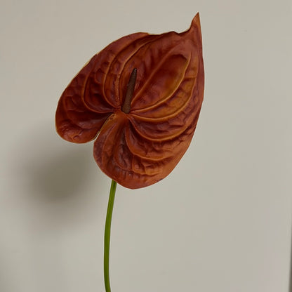 Real Touch Large Anthurium Rust