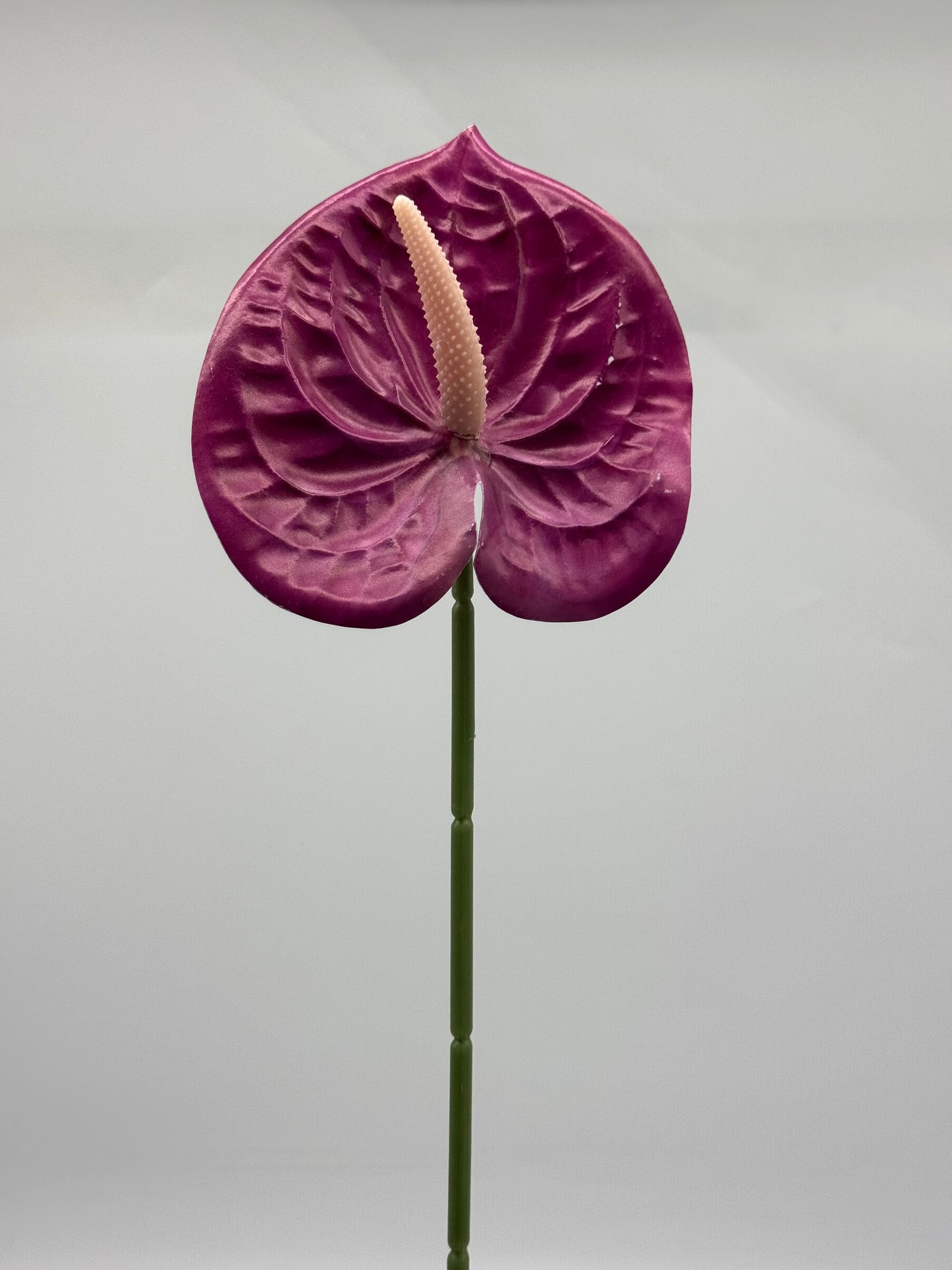 Anthurium Single Stem