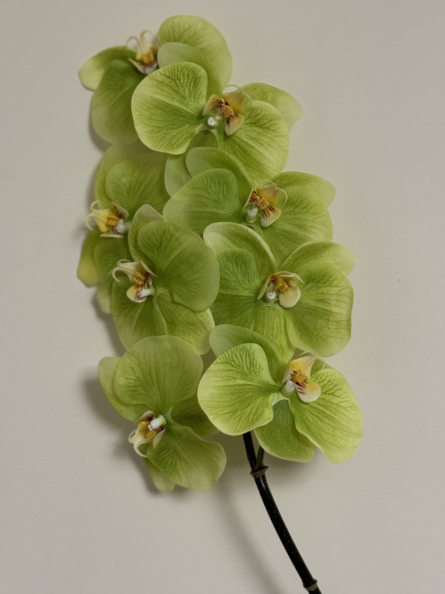 Real Touch Phalaenopsis Orchid Stem Green