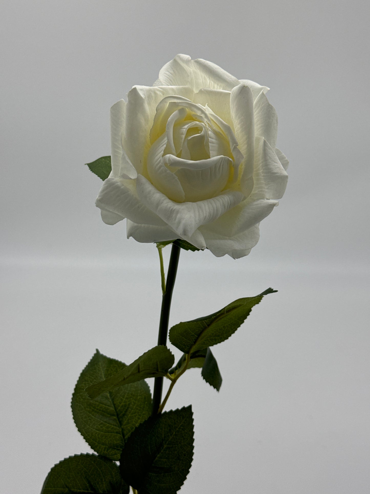 Louis Real Touch Single Stem Rose White