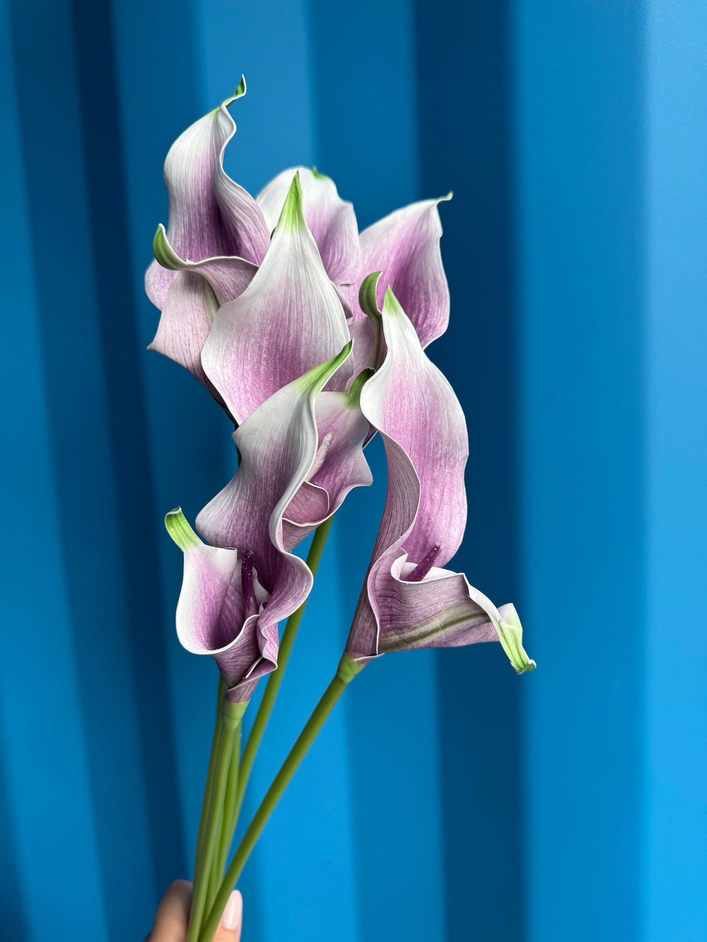 Calla Lily Single Stem Fresh Look
