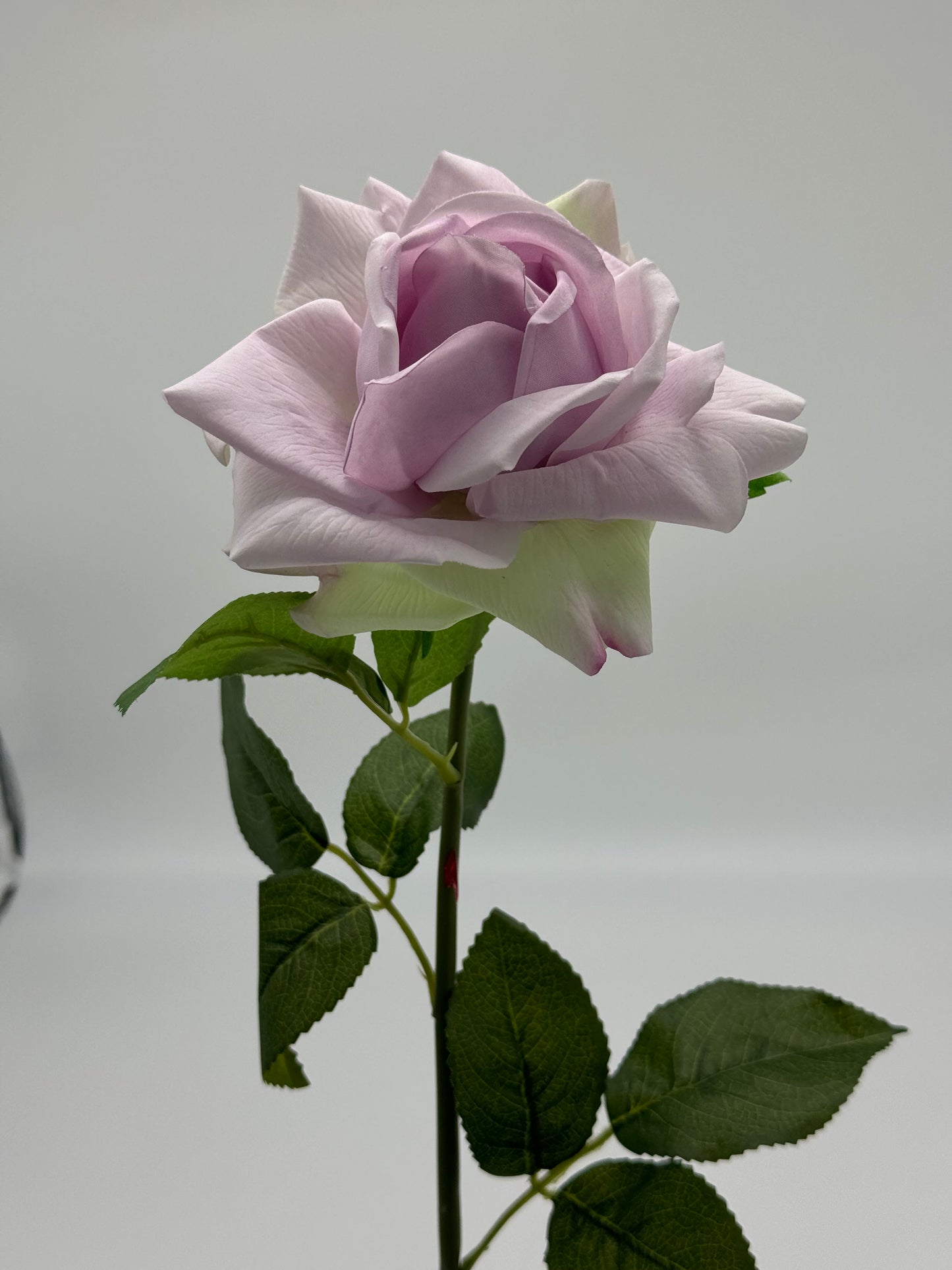 Anyssa Real Touch Rose Lilac