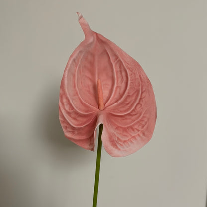 Real Touch Large Anthurium Dusty Pink