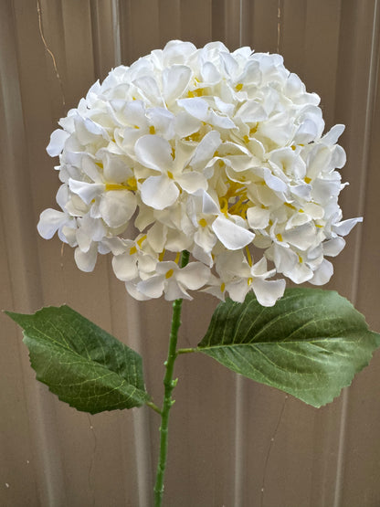 Hydrangea Single Silk