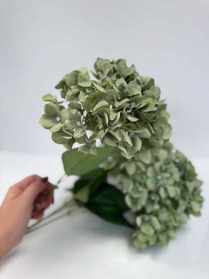 Large 5 Spray Hydrangeas Bush