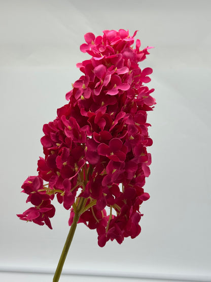 Hydrangea Cone Silk