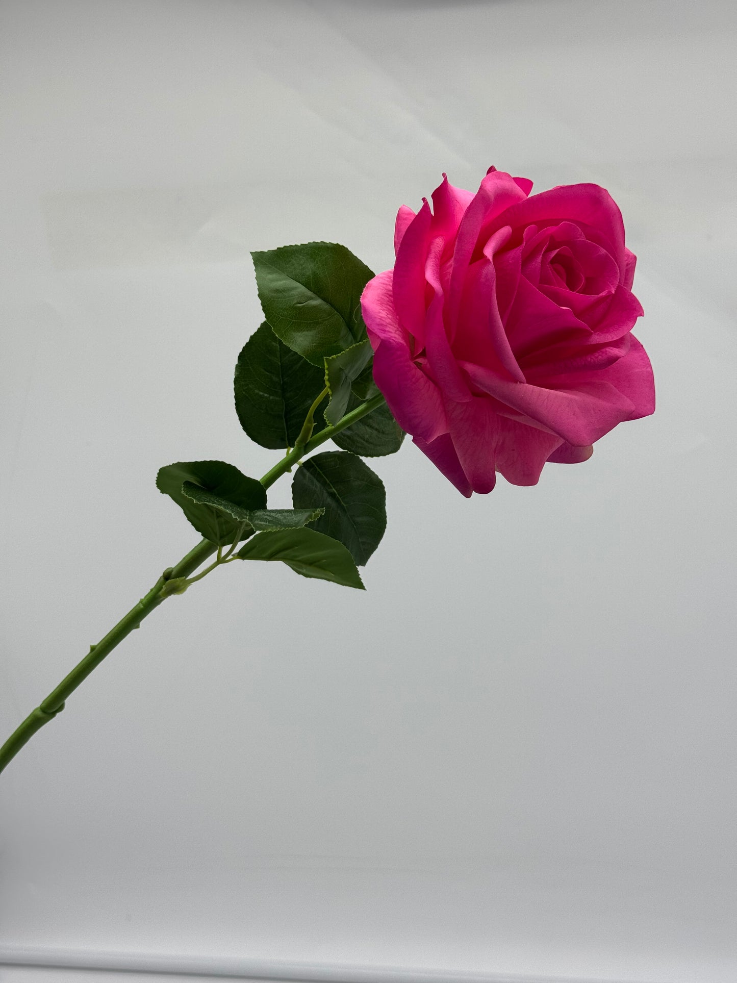 Louis Rose Real Touch Single Stem