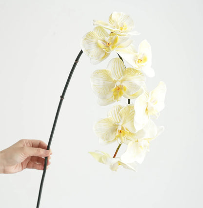 Real Touch Phalaenopsis Orchid Stem Yellow