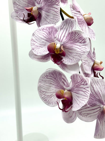 Real Touch Phalaenopsis Orchid Stem Purple