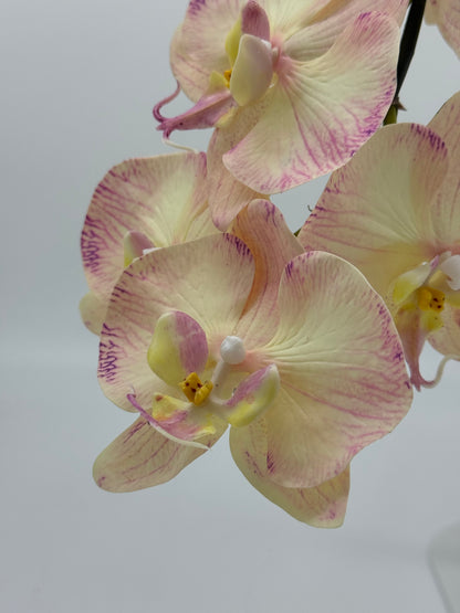 Real Touch Phalaenopsis Orchid Stem Yellow/Pink