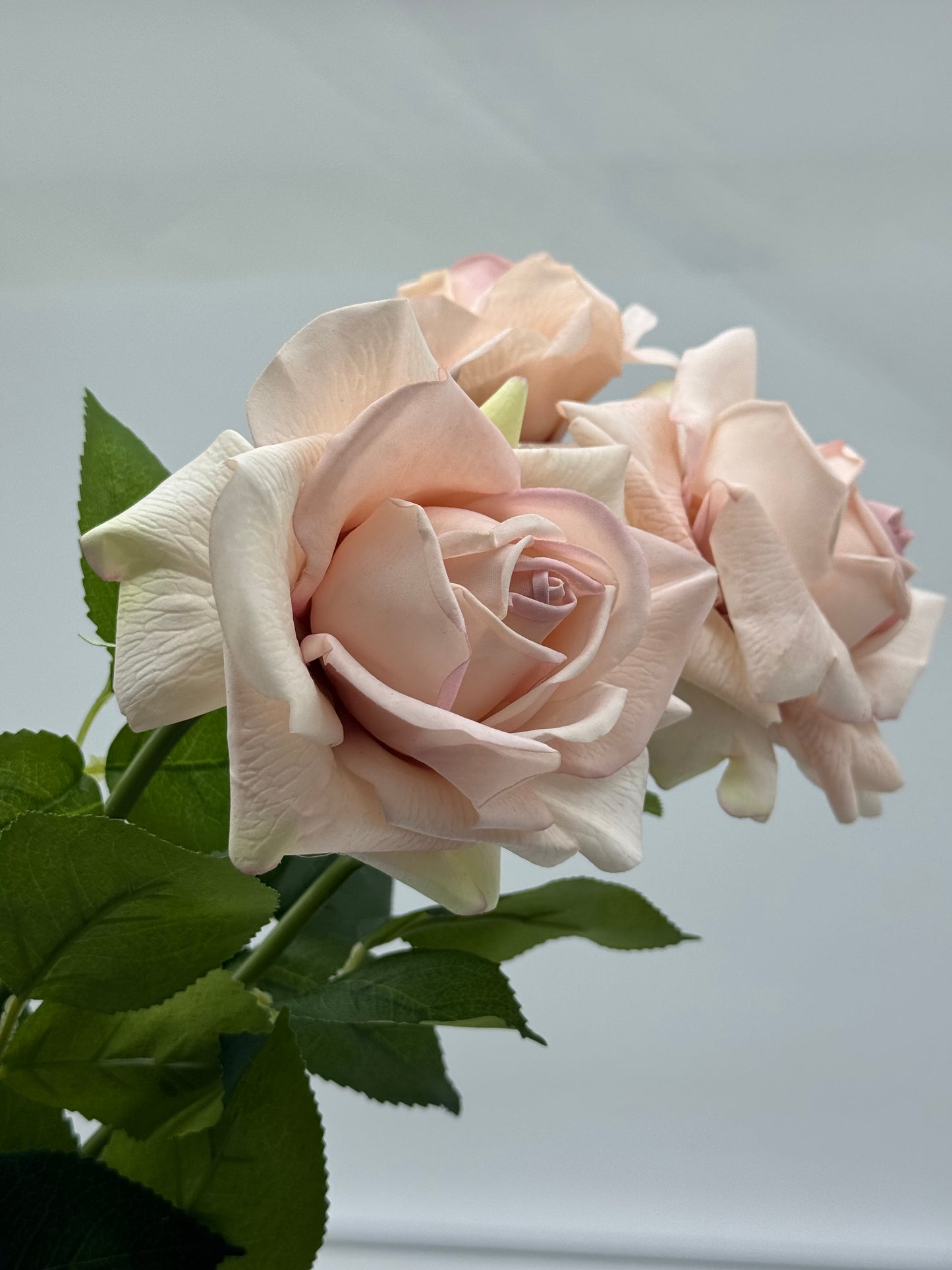 Louis Rose Real Touch Single Stem
