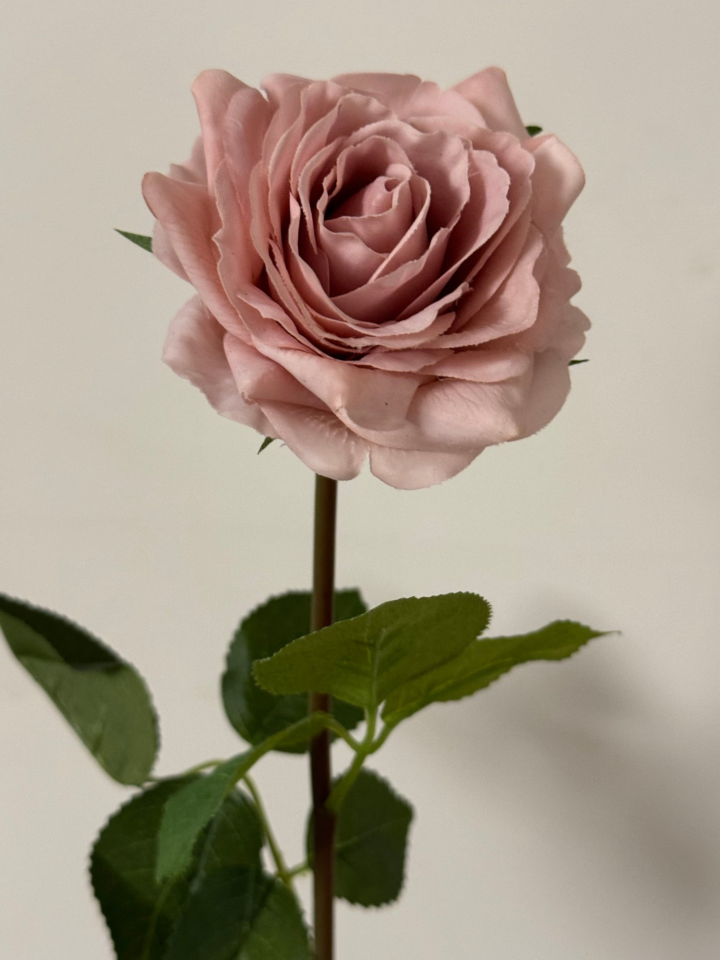 Alice Real Touch Premium Single Stem Rose Dusty Pink