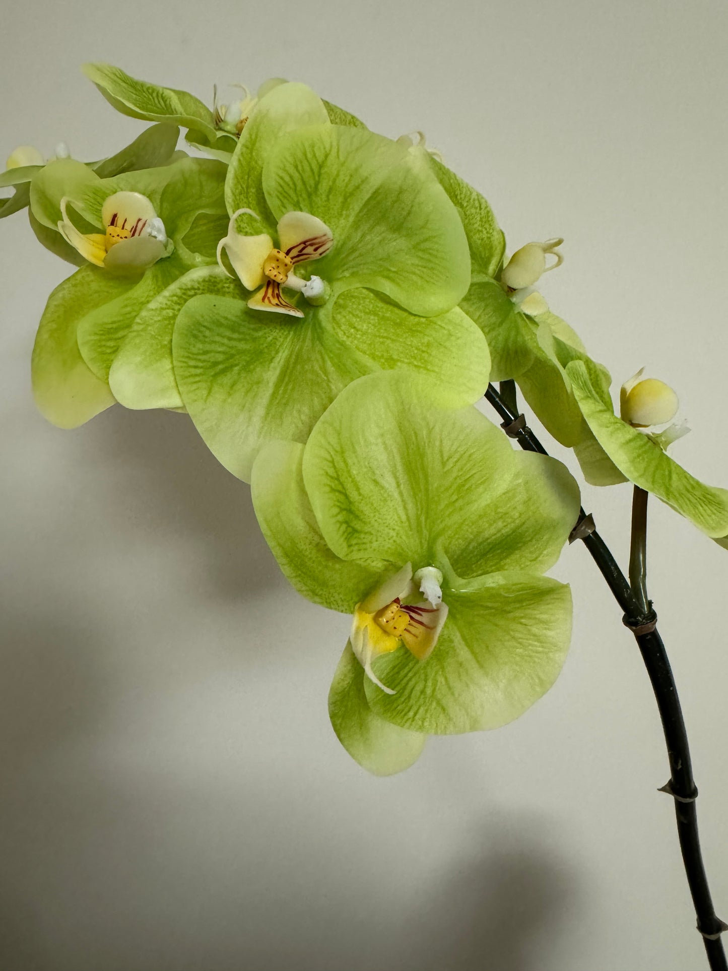 Real Touch Phalaenopsis Orchid Stem Green