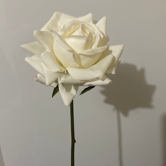 Damaged Real Touch Louis Rose White