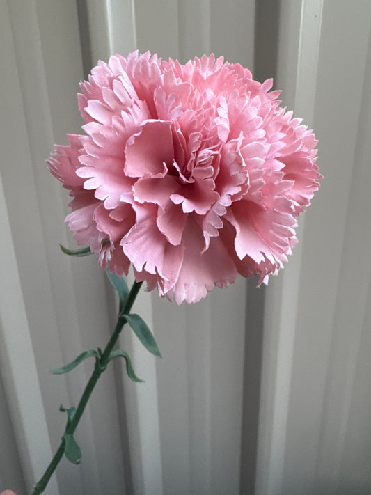 Carnation Large Silk