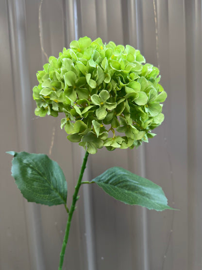 Hydrangea Single Silk