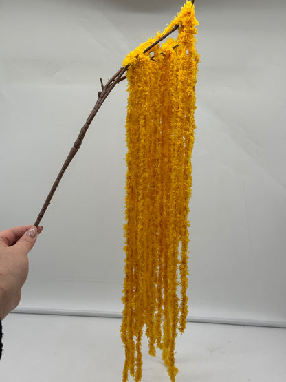 Amaranthus