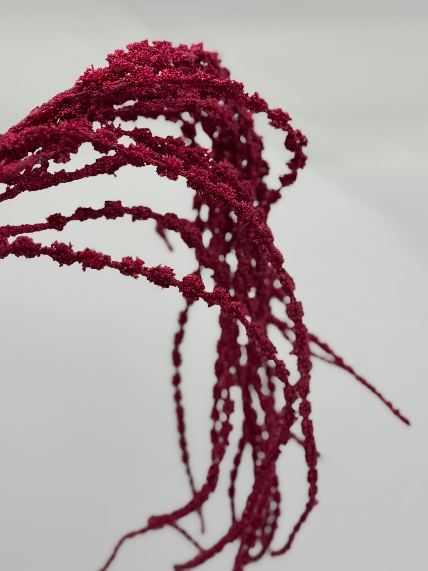 Real Touch Amaranthus