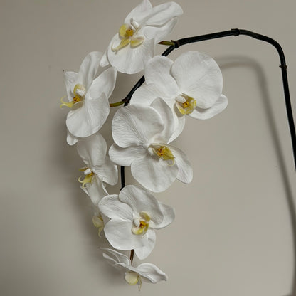 Real Touch Phalaenopsis Orchid Stem White