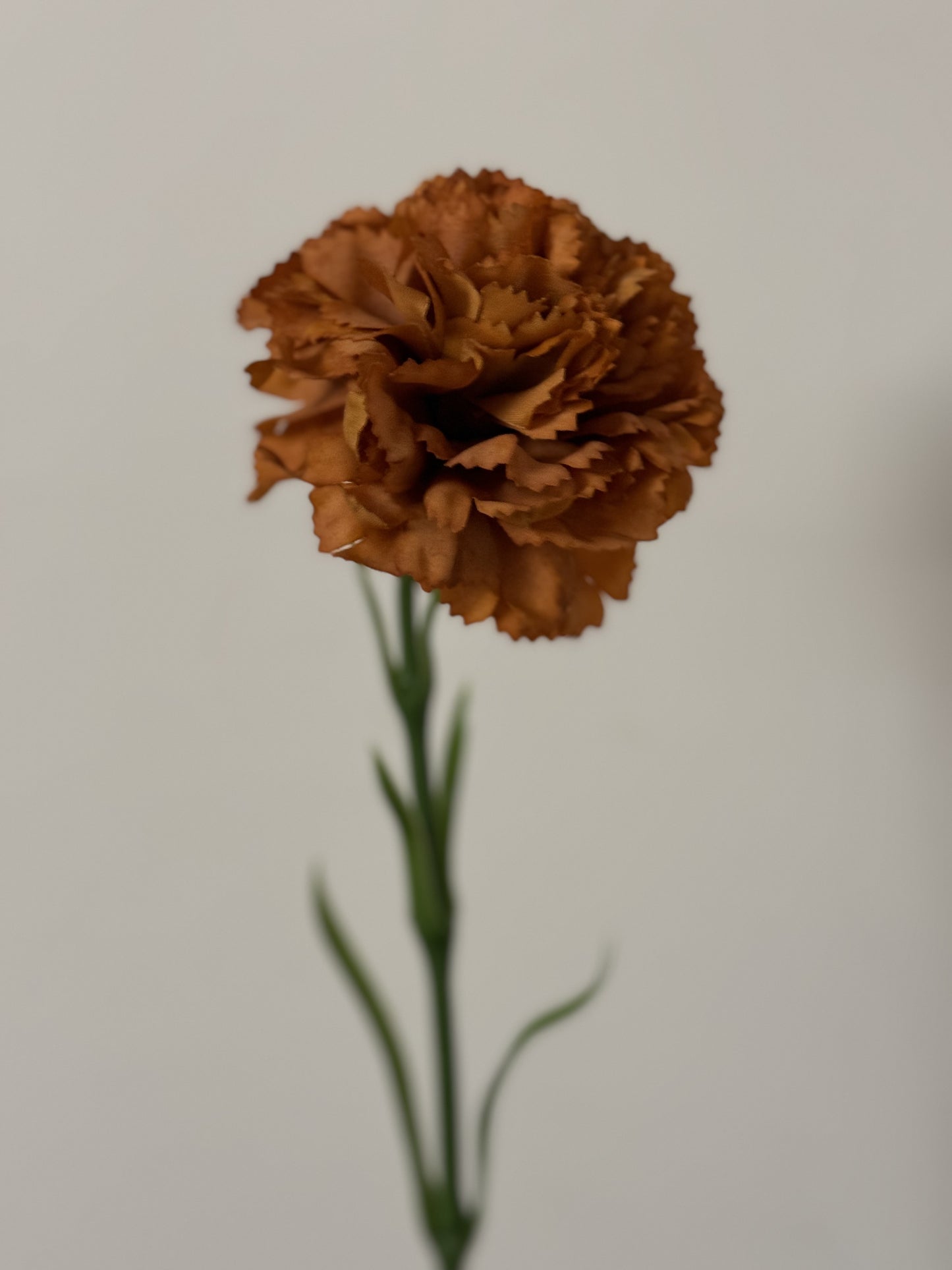 Real Touch Carnation Single Stem Rust