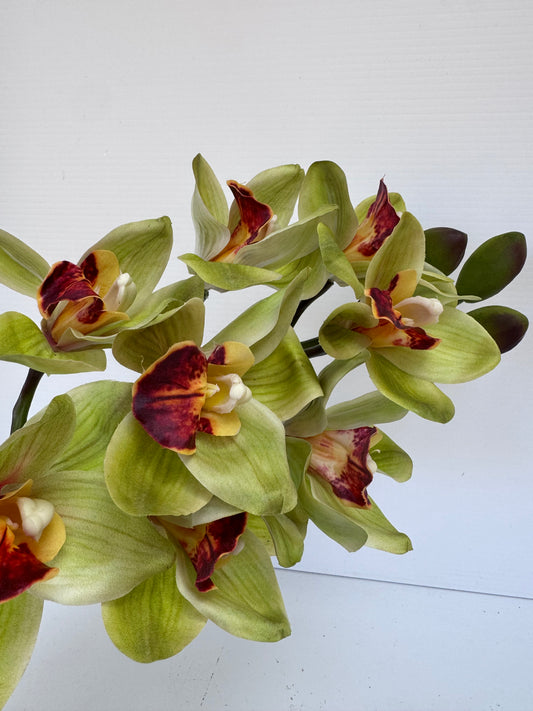 Premium Large Orchid Real Touch