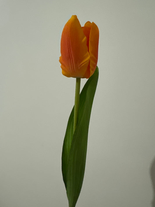 Tulip Real Touch Orange