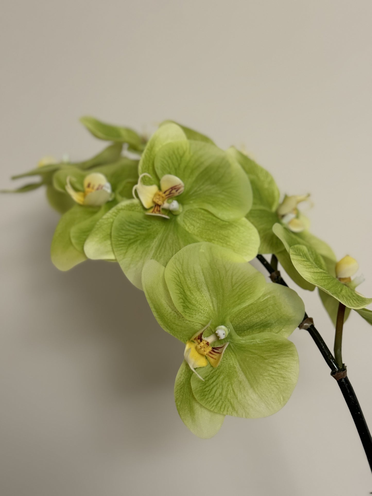 Real Touch Phalaenopsis Orchid Stem Green