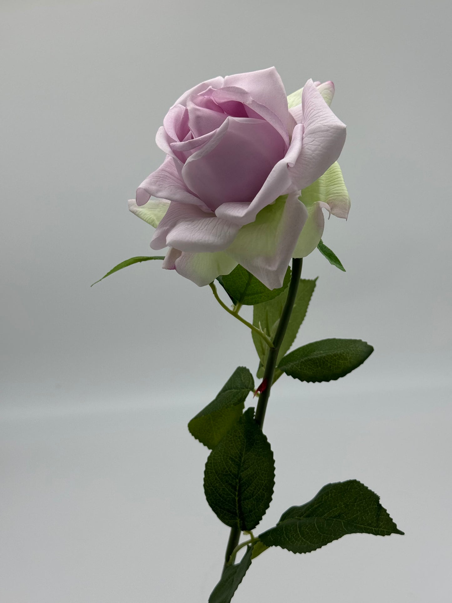 Anyssa Real Touch Rose Lilac