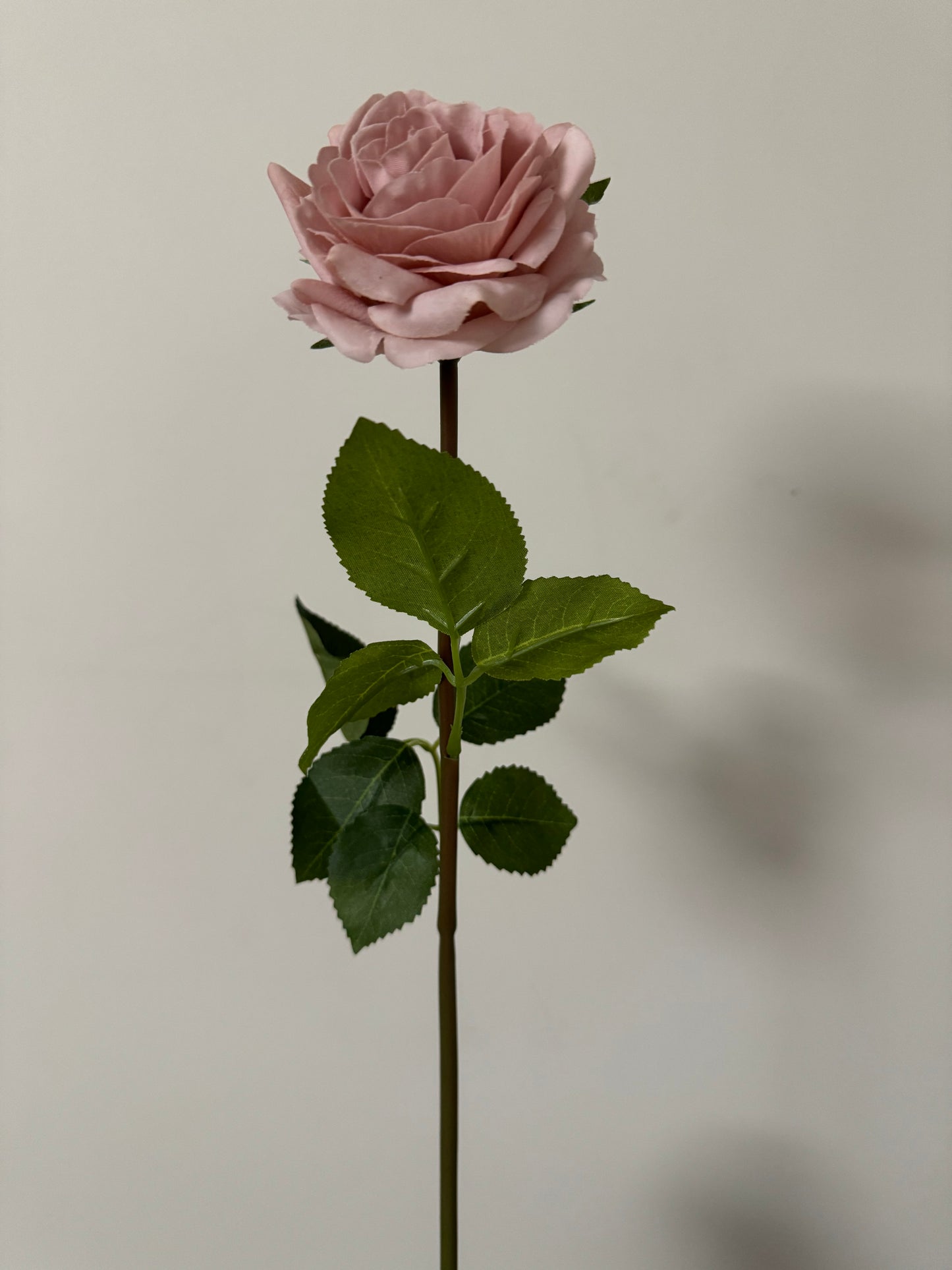 Alice Real Touch Premium Single Stem Rose Dusty Pink