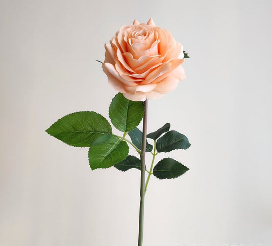 Alice Real Touch Premium Single Stem Rose Peach