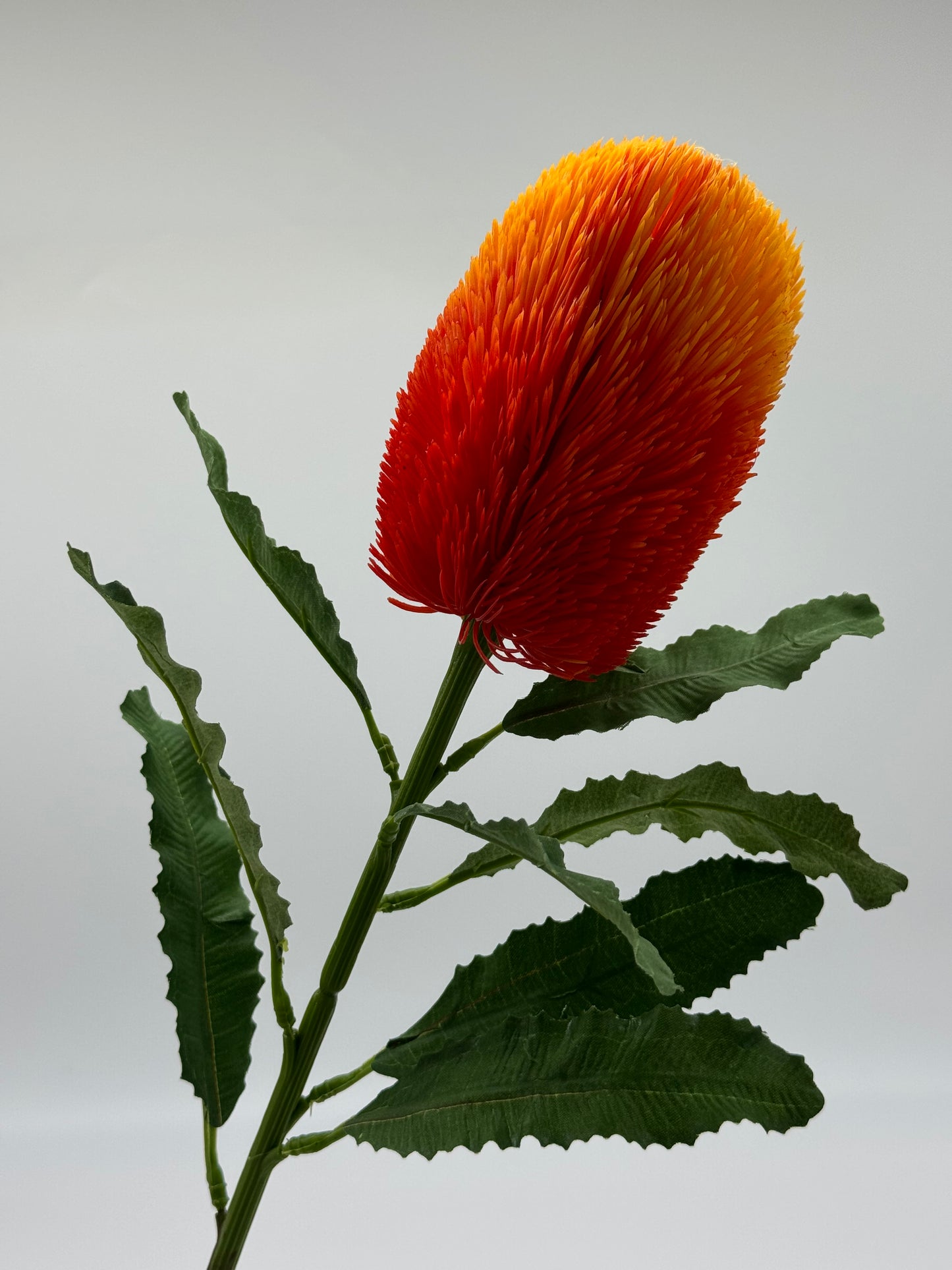 Australian Banksia Orange Stem Real Touch