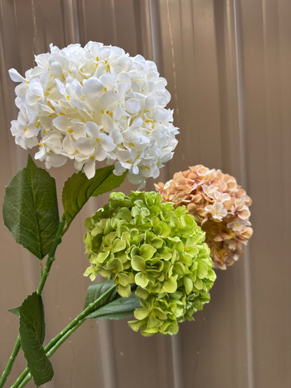 Hydrangea Single Silk