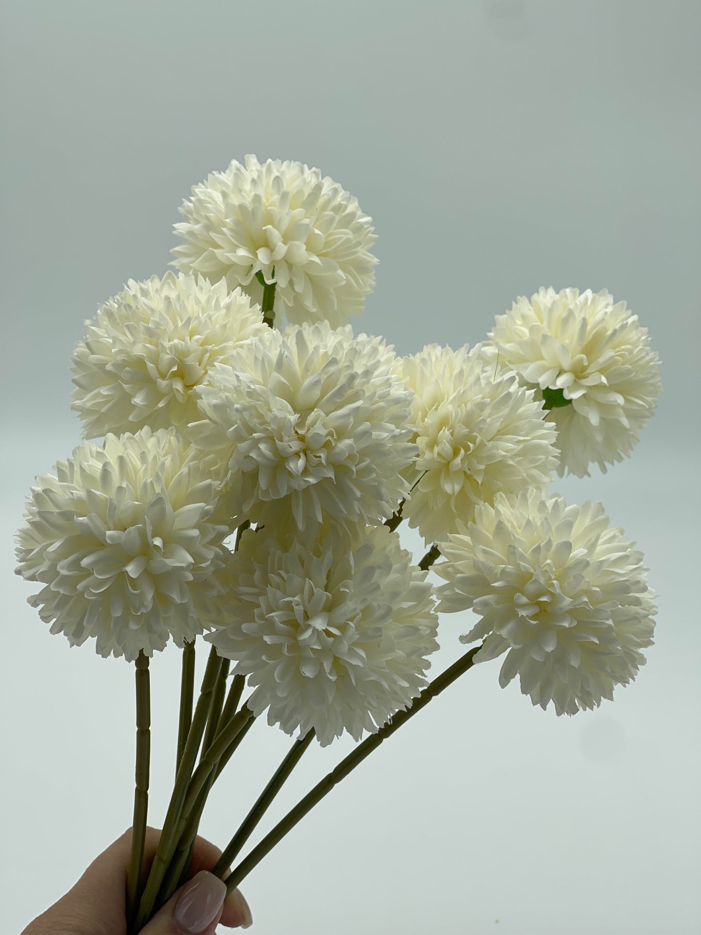 Chrysanthemum 3pc Set White