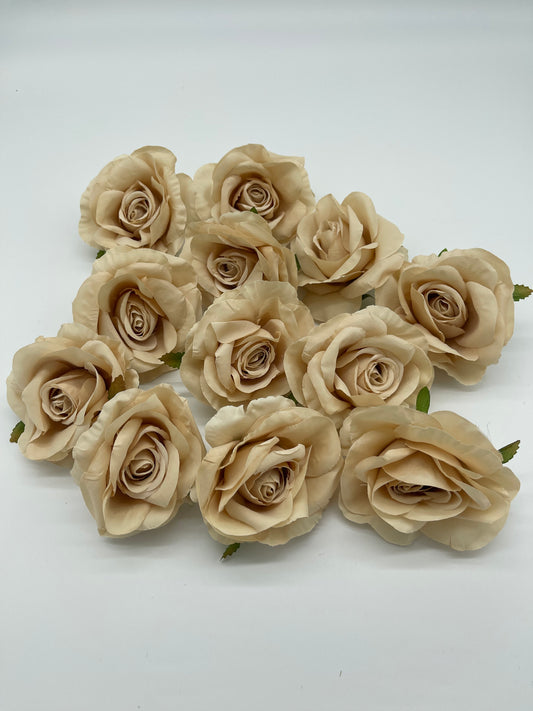 Rose Head Beige 12pcs