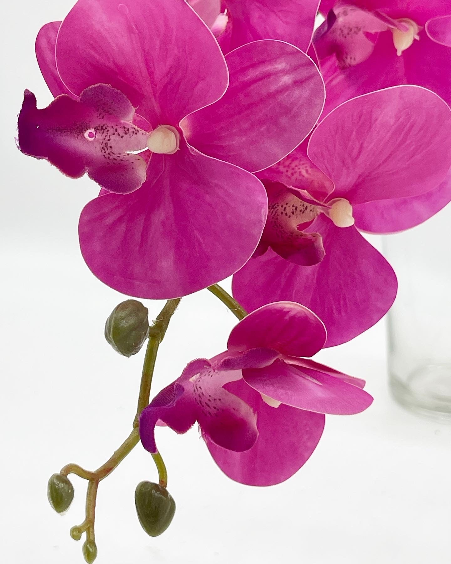 Single Stem Phalaenopsis Orchid 9 Heads Hot Pink