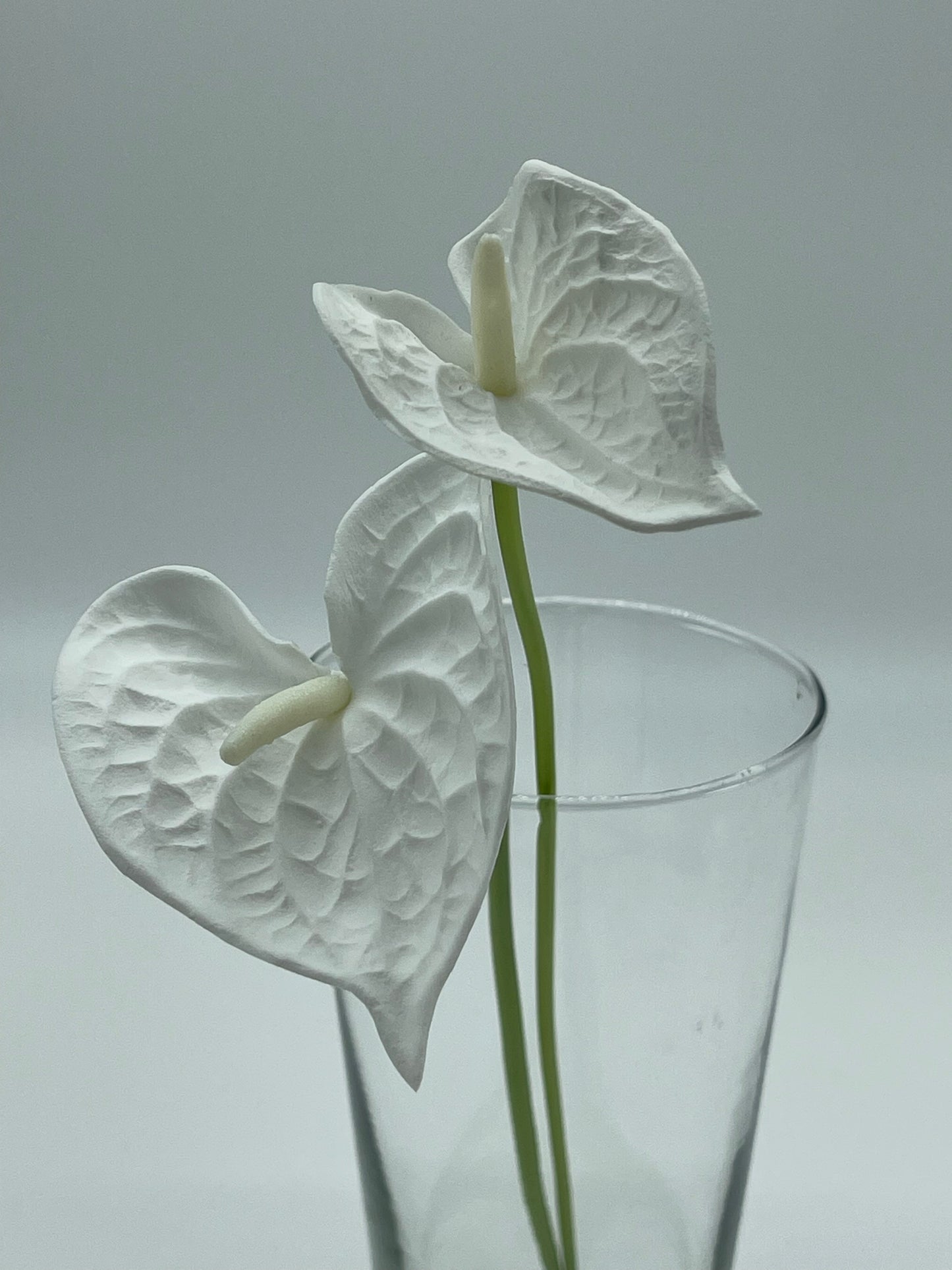 Real Touch Anthurium White Bunch 2pc