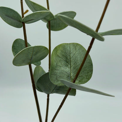 Eucalyptus Leaves Real Touch 3 Forks