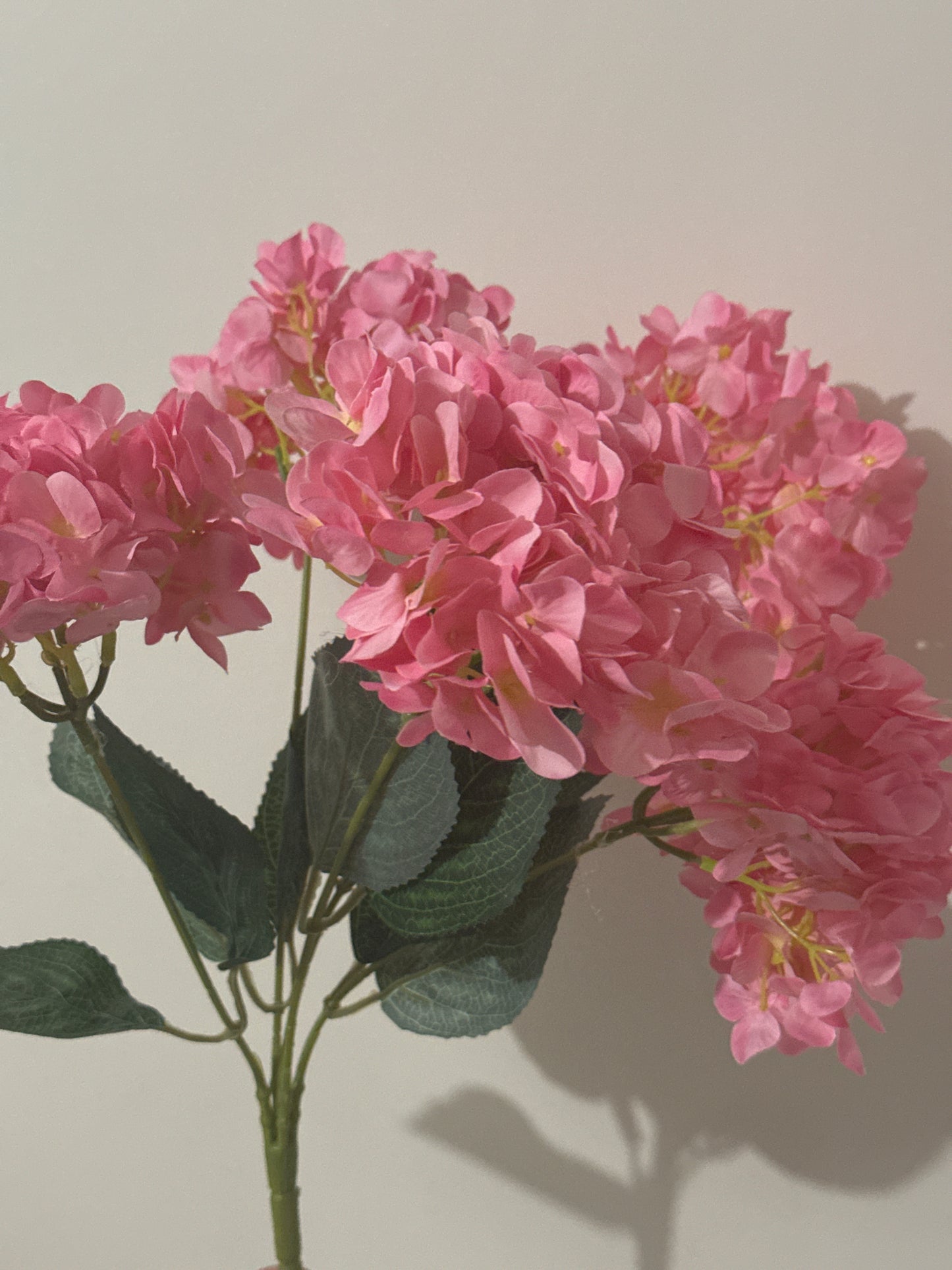 Hydrangeas Spray Fuchsia