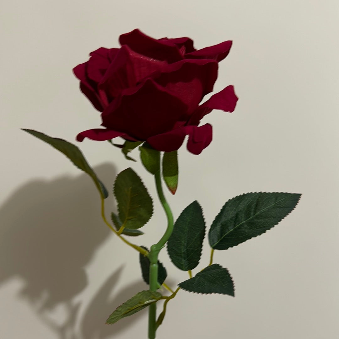 Velvet Single Stem Rose Red